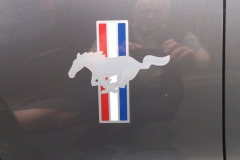 MUSTANG-9.15_01