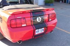 MUSTANG_Claude-Gagné-4.15_02