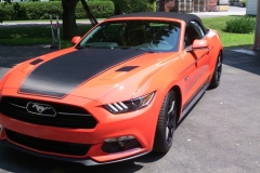 Roger-Beaudoin_MUSTANG-10.7.15_04