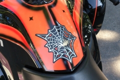 SPYDER_14-6.15_02