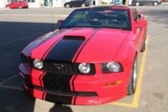 MUSTANG_Claude_Gagné__4.15_01