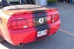 MUSTANG_Claude_Gagné__4.15_02