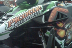 Picotte_P-02-12_01