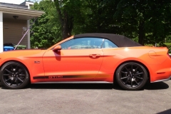 Roger-Beaudoin_MUSTANG-10.7.15_01