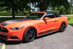 Roger-Beaudoin_MUSTANG-10.7.15_02