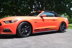 Roger-Beaudoin_MUSTANG-10.7.15_03