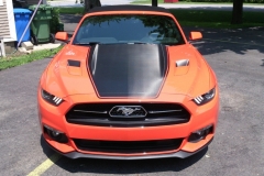 Roger-Beaudoin_MUSTANG-10.7.15_05
