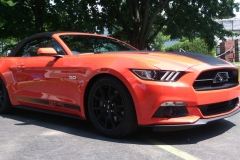 Roger-Beaudoin_MUSTANG-10.7.15_08