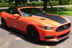 Roger-beaudoin_MUSTANG-10.7.15_07