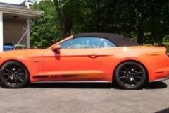 Roger_Beaudoin_MUSTANG__10.7.15_01