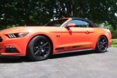 Roger_Beaudoin_MUSTANG__10.7.15_03