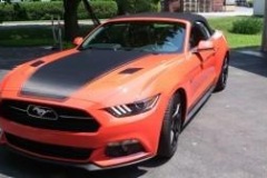 Roger_Beaudoin_MUSTANG__10.7.15_04