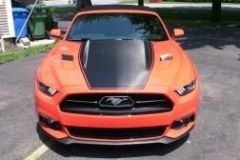 Roger_Beaudoin_MUSTANG__10.7.15_05