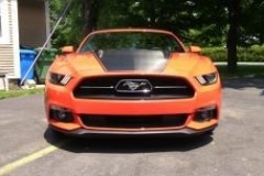 Roger_Beaudoin_MUSTANG__10.7.15_06