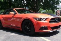 Roger_Beaudoin_MUSTANG__10.7.15_08