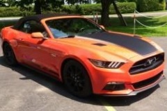 Roger_beaudoin_MUSTANG__10.7.15_07