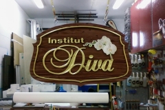 Institut-DIVA_05-09-Copie
